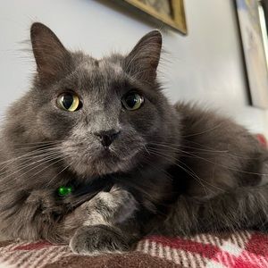 Meet your Posher, Zoha